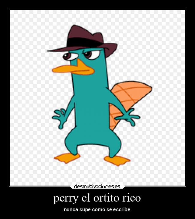 perry el ortito rico - nunca supe como se escribe