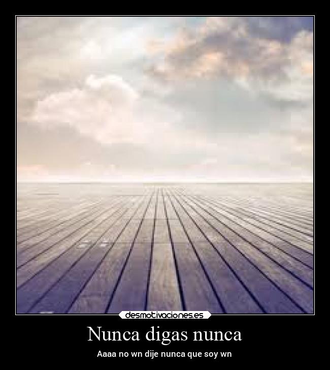 Nunca digas nunca - 