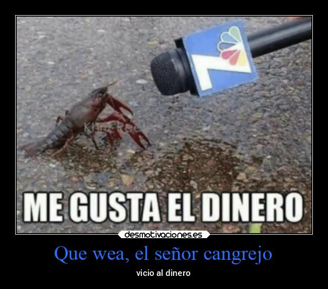 Que wea, el señor cangrejo - vicio al dinero