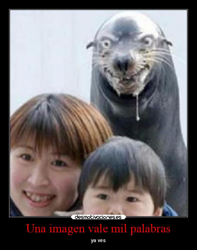 Una imagen vale mil palabras - ya ves