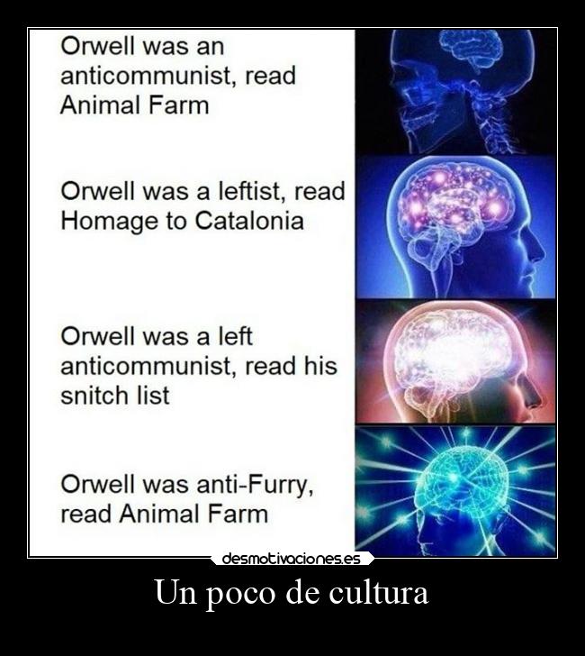 Un poco de cultura - 