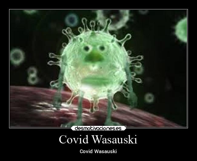 Covid Wasauski -