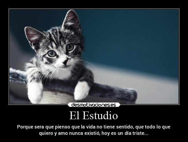 El Estudio - Porque sera que pienso que la vida no tiene sentido, que todo lo que
quiero y amo nunca existió, hoy es un día triste...
