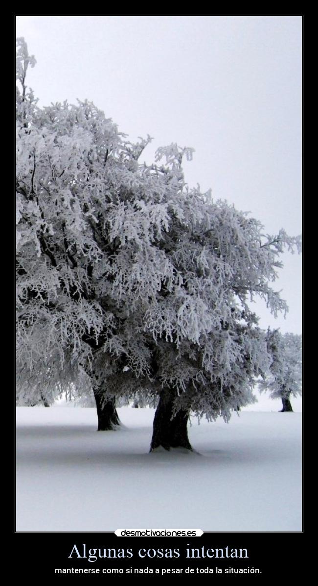 Algunas cosas intentan - mantenerse como si nada a pesar de toda la situación.