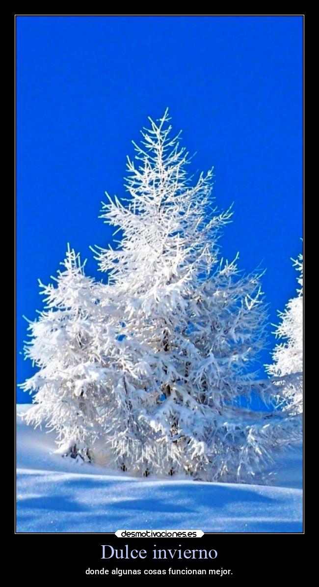 Dulce invierno - donde algunas cosas funcionan mejor.