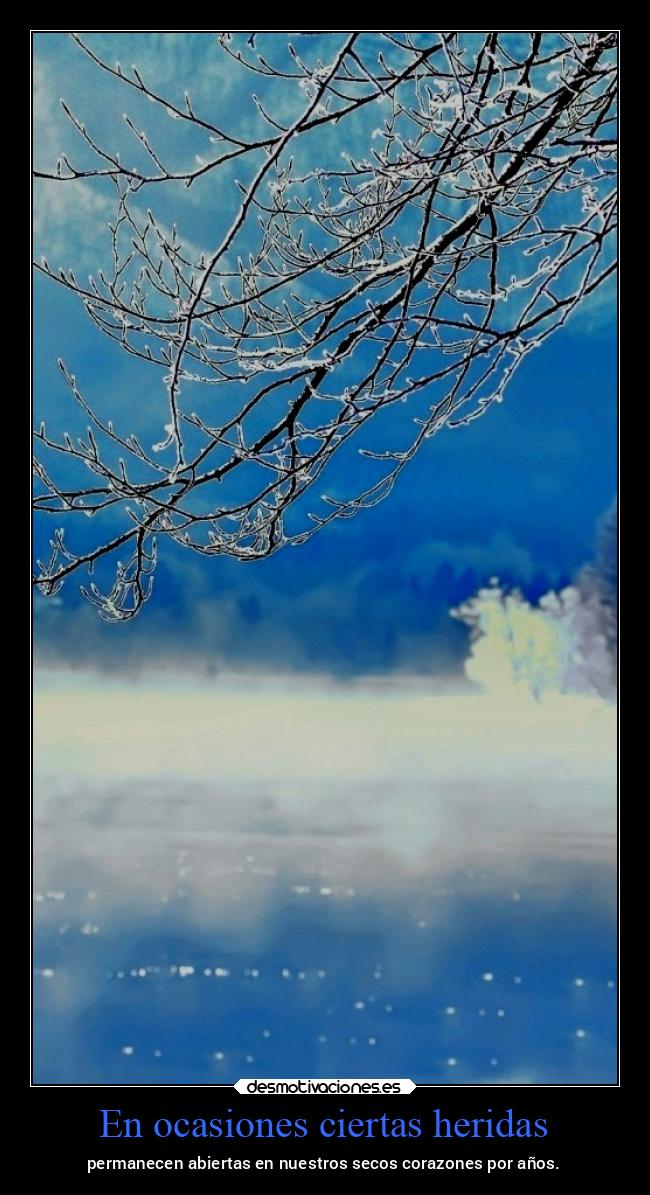 En ocasiones ciertas heridas - permanecen abiertas en nuestros secos corazones por años.