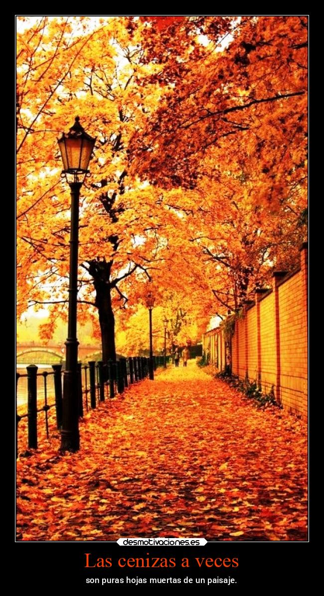 carteles vida chopper igbt gtov3 otono fall desmotivaciones