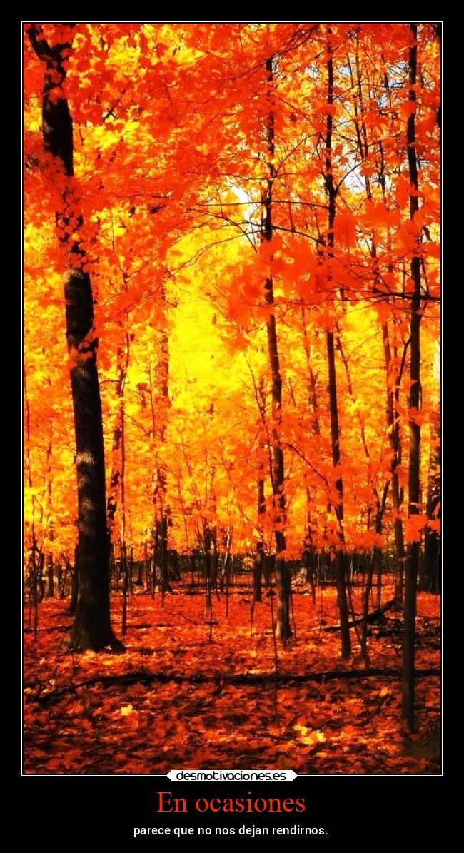 carteles vida chopper igbt gtov3 otono fall desmotivaciones