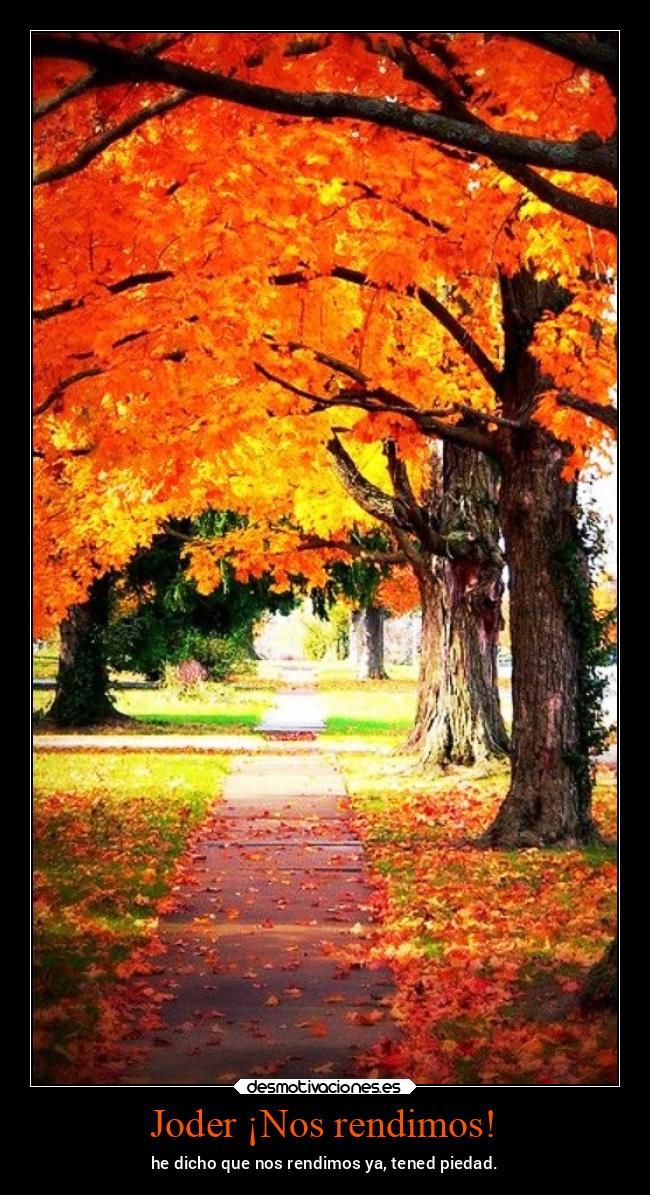 carteles vida chopper igbt gtov3 otono fall desmotivaciones