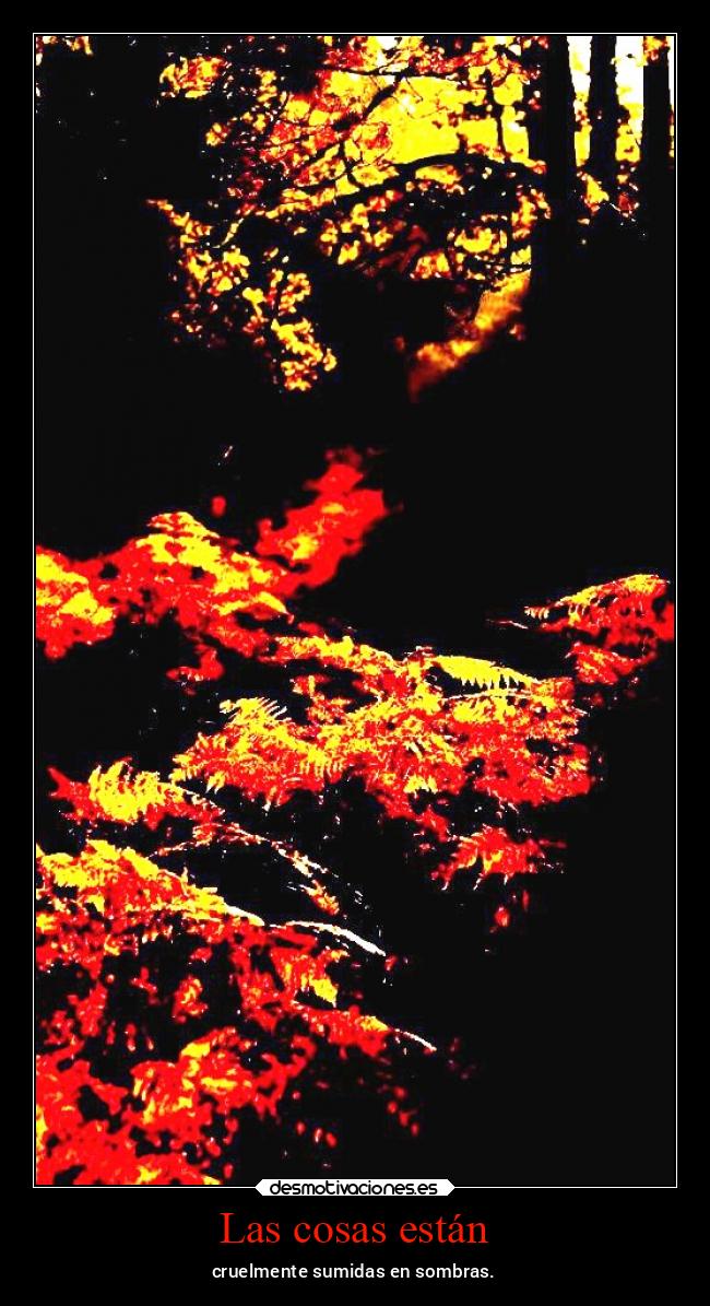 Las cosas están - cruelmente sumidas en sombras.