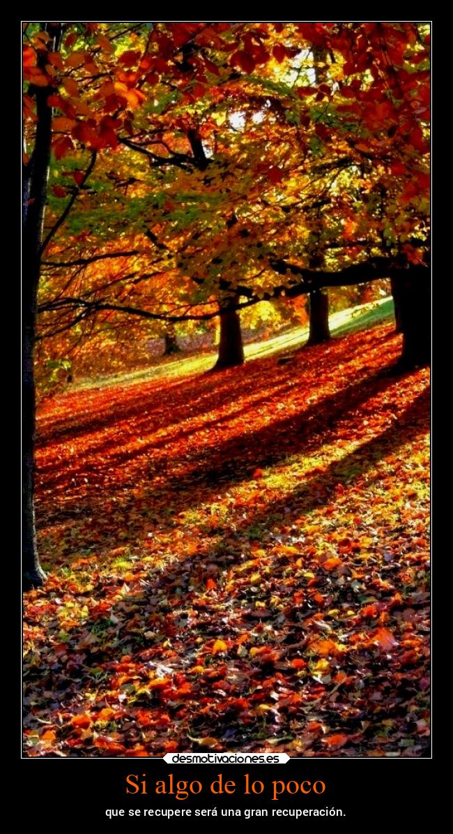 Si algo de lo poco - que se recupere será una gran recuperación.
