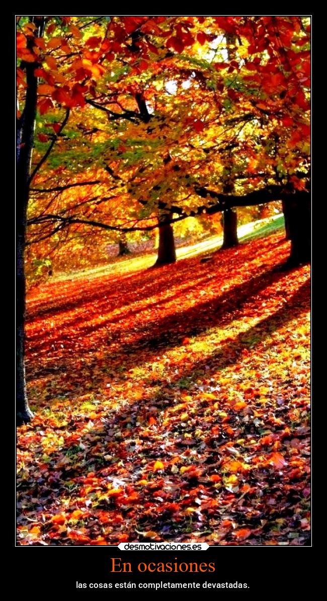 En ocasiones - las cosas están completamente devastadas.