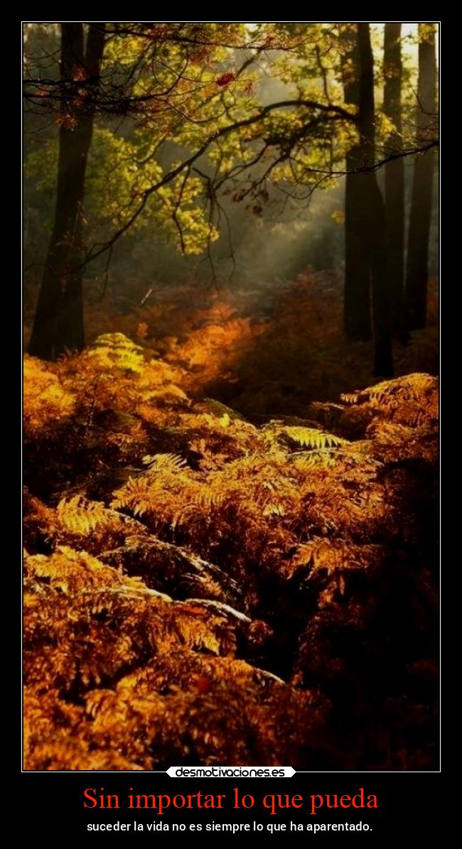 Sin importar lo que pueda - suceder la vida no es siempre lo que ha aparentado.