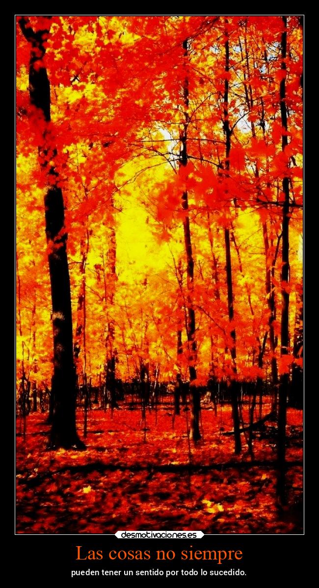 Las cosas no siempre - pueden tener un sentido por todo lo sucedido.