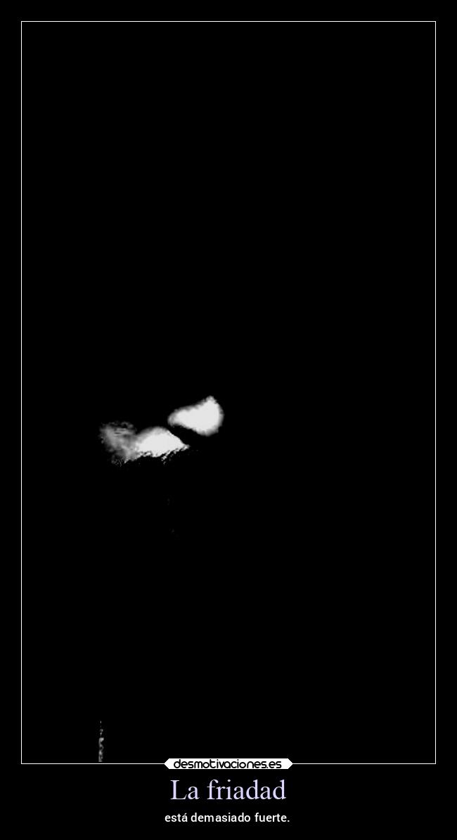 carteles vida ltsc lrssg alex vazquez999 victoryanddeath victory and death desmotivaciones