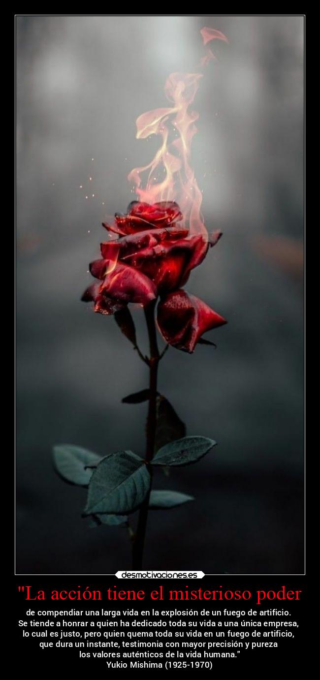 La acción tiene el misterioso poder - de compendiar una larga vida en la explosión de un fuego de artificio.
Se tiende a honrar a quien ha dedicado toda su vida a una única empresa,
lo cual es justo, pero quien quema toda su vida en un fuego de artificio,
que dura un instante, testimonia con mayor precisión y pureza
los valores auténticos de la vida humana.
Yukio Mishima (1925-1970)