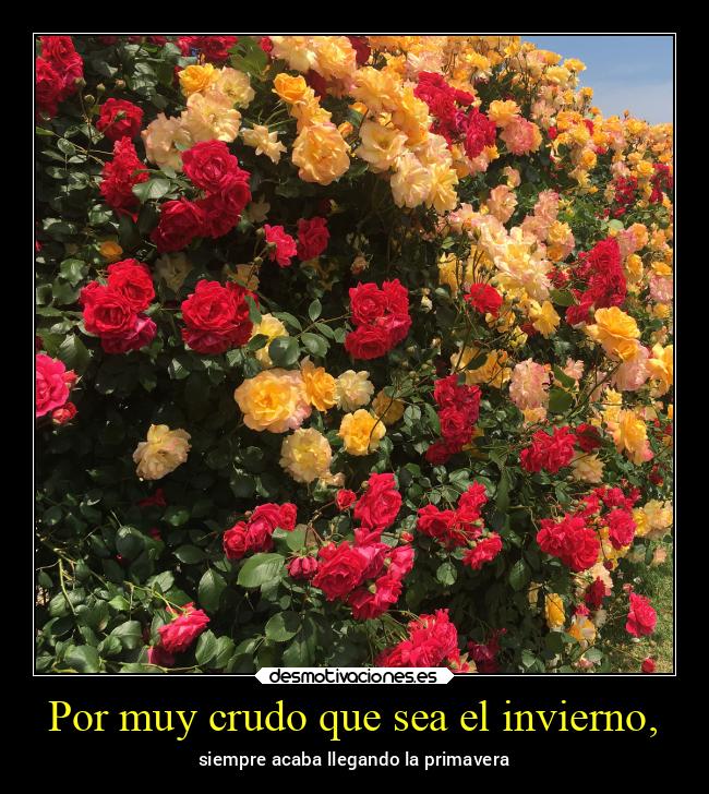 Por muy crudo que sea el invierno, - siempre acaba llegando la primavera