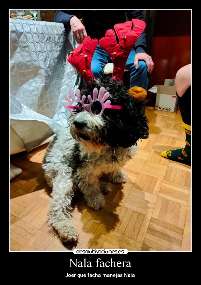 carteles abrazos xdddddddddddddddddddddddddddddddddddddddddddddddd desmotivaciones