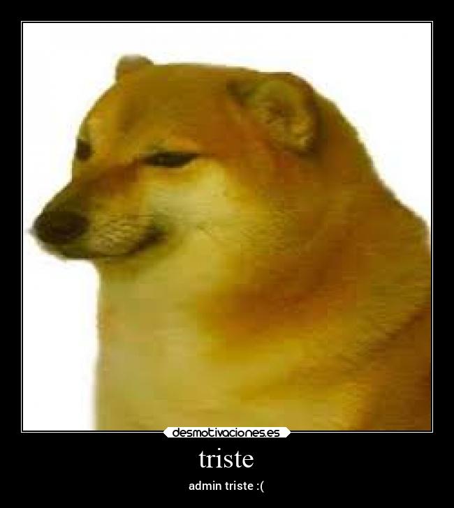 triste - admin triste :(