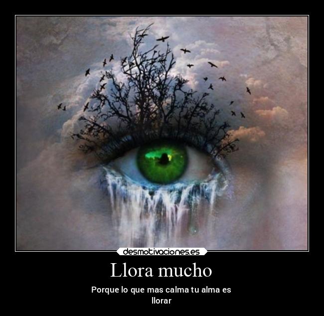 Llora mucho - Porque lo que mas calma tu alma es
llorar