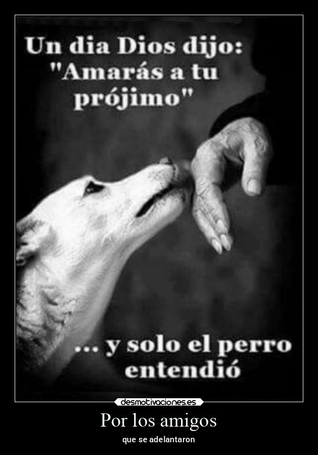 carteles amigos amigos desmotivaciones