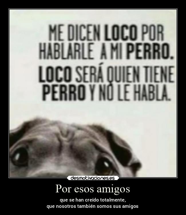 carteles amigos amigos desmotivaciones