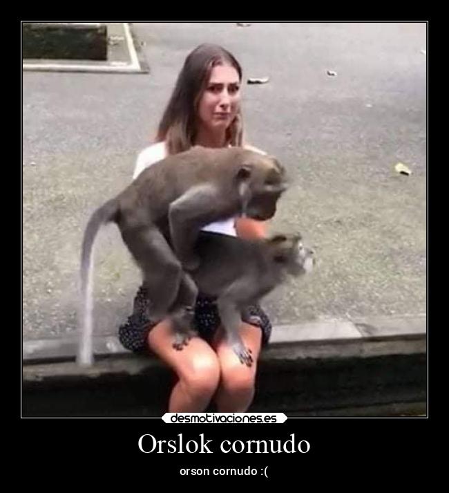 Orslok cornudo - orson cornudo :(