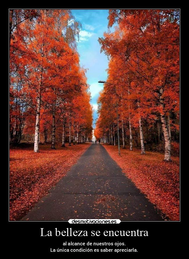 La belleza se encuentra - al alcance de nuestros ojos.
La única condición es saber apreciarla.
