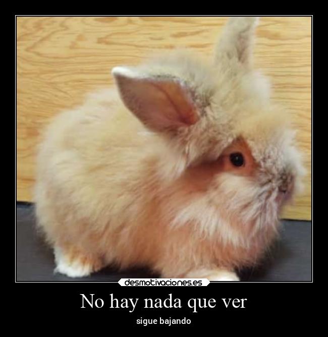 No hay nada que ver - sigue bajando