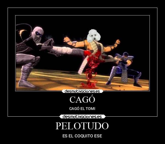 PELOTUDO - ES EL COQUITO ESE