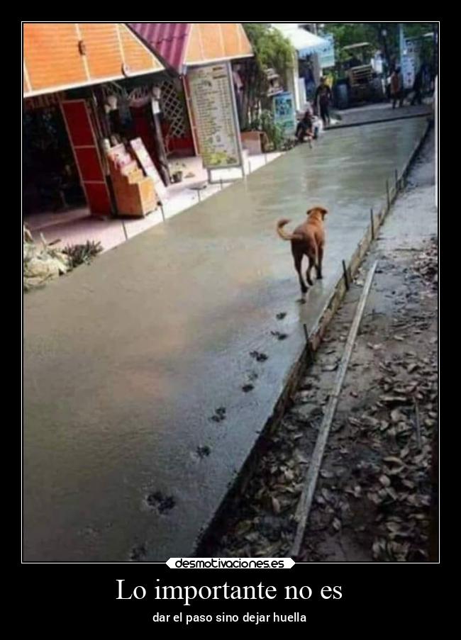 Lo importante no es - dar el paso sino dejar huella