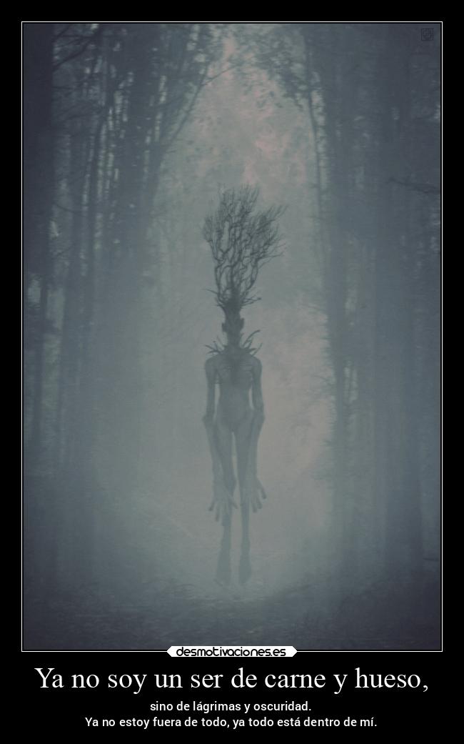 Ya no soy un ser de carne y hueso, - sino de lágrimas y oscuridad.
Ya no estoy fuera de todo, ya todo está dentro de mí.