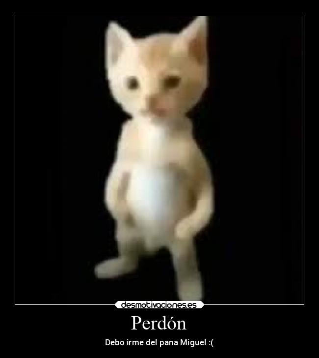Perdón -