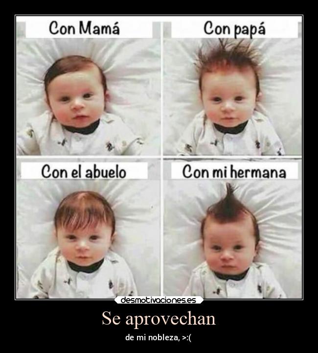carteles familia desmotivaciones