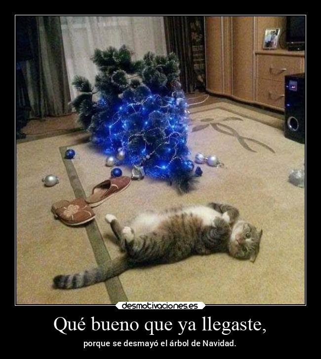 carteles gatos navidad imasesino asesinowalt desmoasesino teamdelasesino desmonavidad2020 desmotivaciones