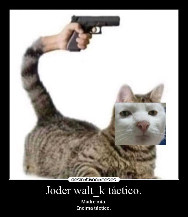 Joder walt_k táctico. - Madre mía.
Encima táctico.
