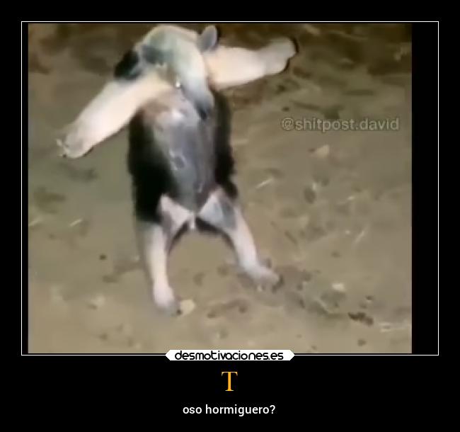 carteles memes desmotivaciones