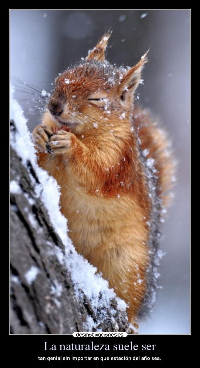 La naturaleza suele ser - tan genial sin importar en que estación del año sea.