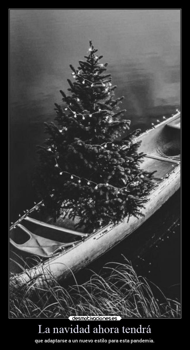 carteles navidad vida ltsc lrssg alex vazquez999 victoryanddeath victory and death desmonavidad2020 desmotivaciones