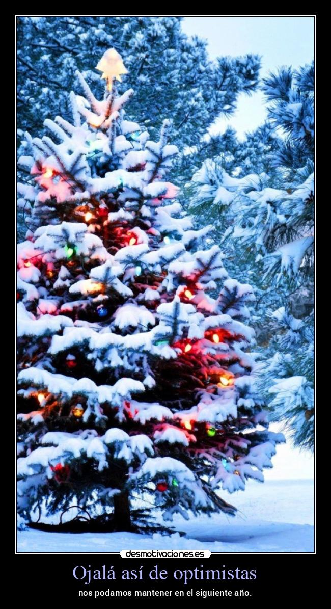 Ojalá así de optimistas - nos podamos mantener en el siguiente año.