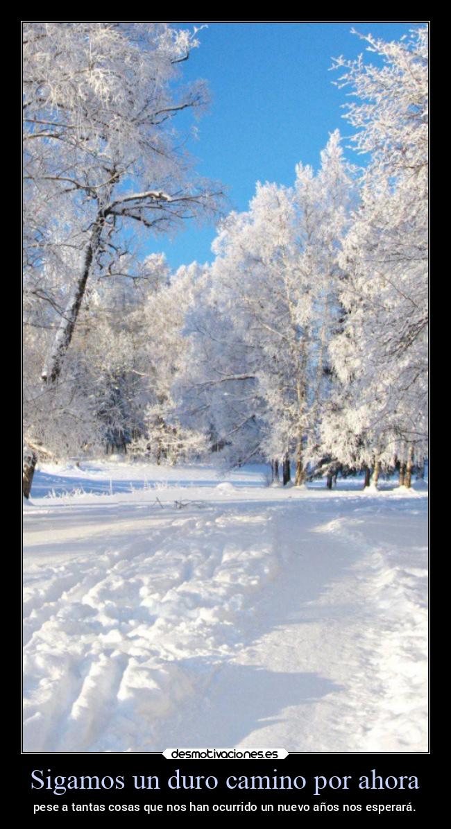 Sigamos un duro camino por ahora - pese a tantas cosas que nos han ocurrido un nuevo años nos esperará.