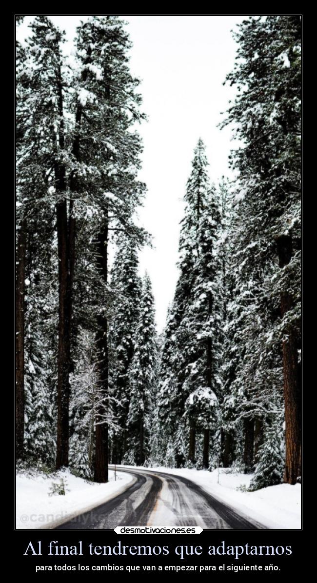 Al final tendremos que adaptarnos - para todos los cambios que van a empezar para el siguiente año.