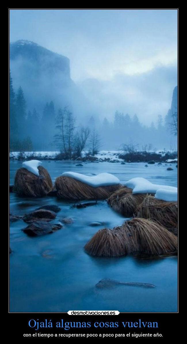 Ojalá algunas cosas vuelvan - con el tiempo a recuperarse poco a poco para el siguiente año.