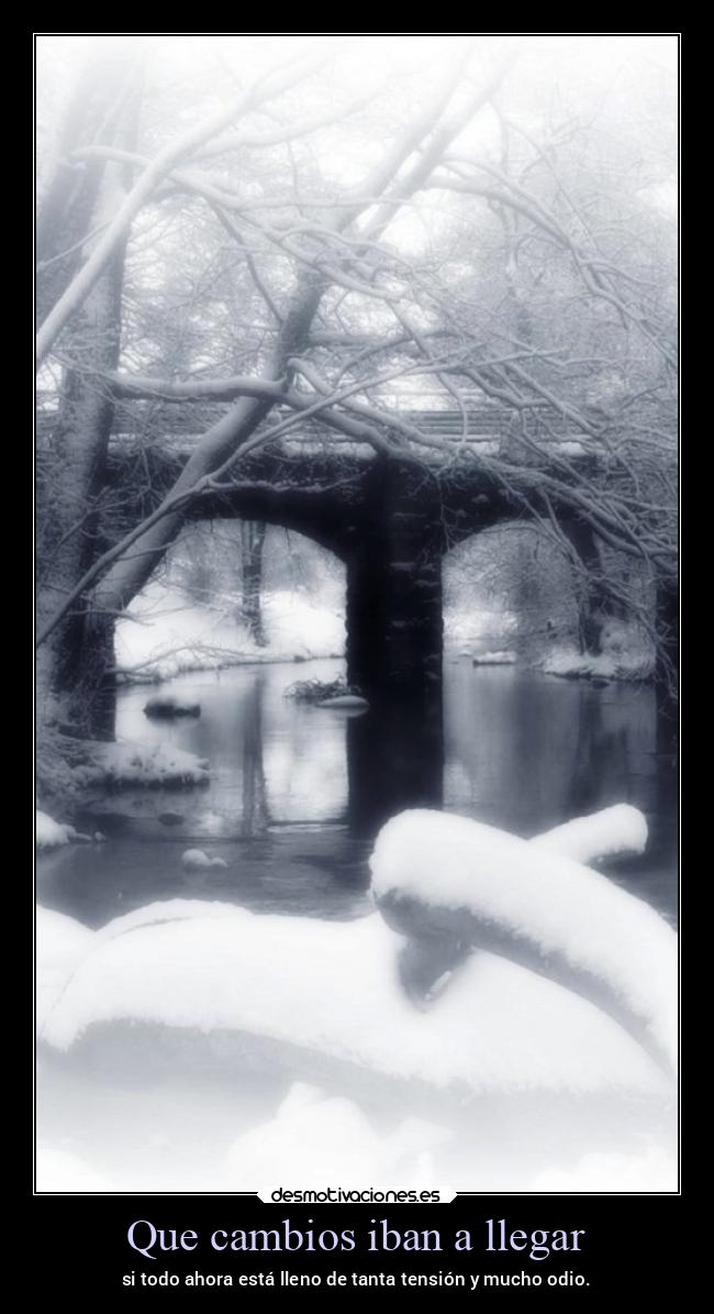 Que cambios iban a llegar - si todo ahora está lleno de tanta tensión y mucho odio.