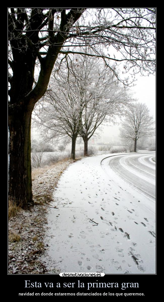 Esta va a ser la primera gran - navidad en donde estaremos distanciados de los que queremos.