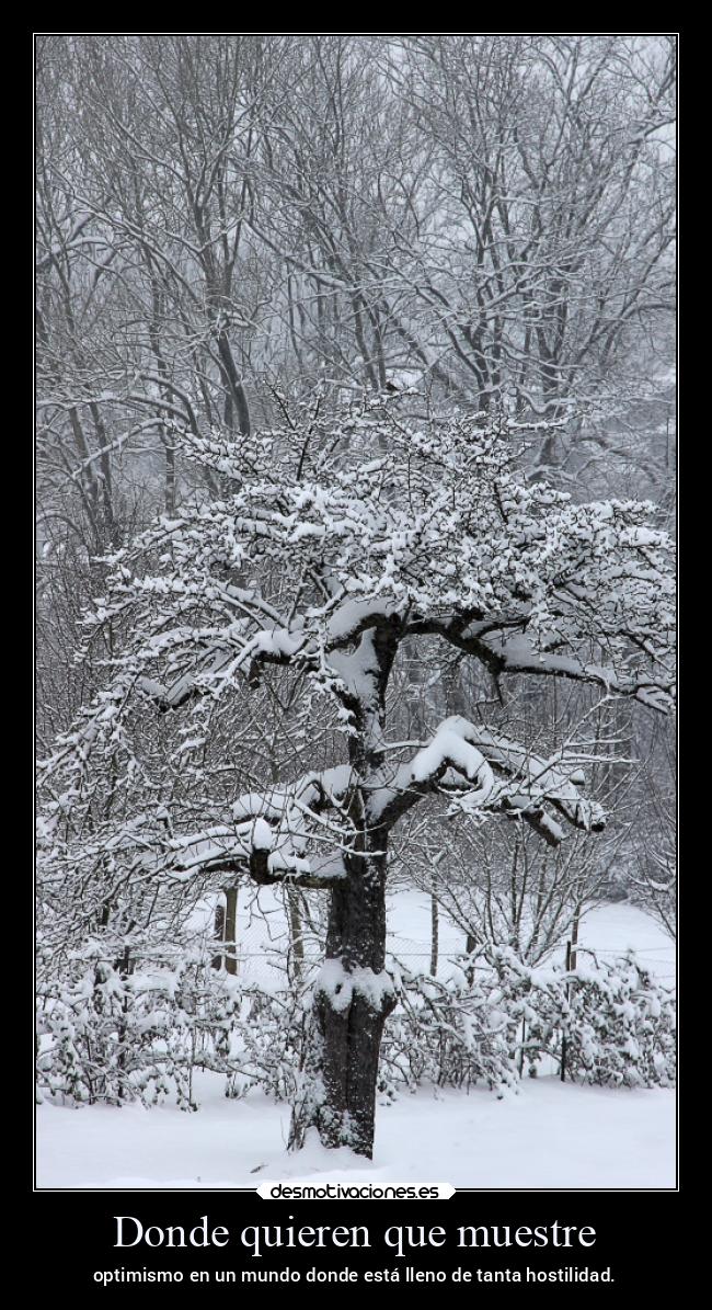 Donde quieren que muestre - optimismo en un mundo donde está lleno de tanta hostilidad.