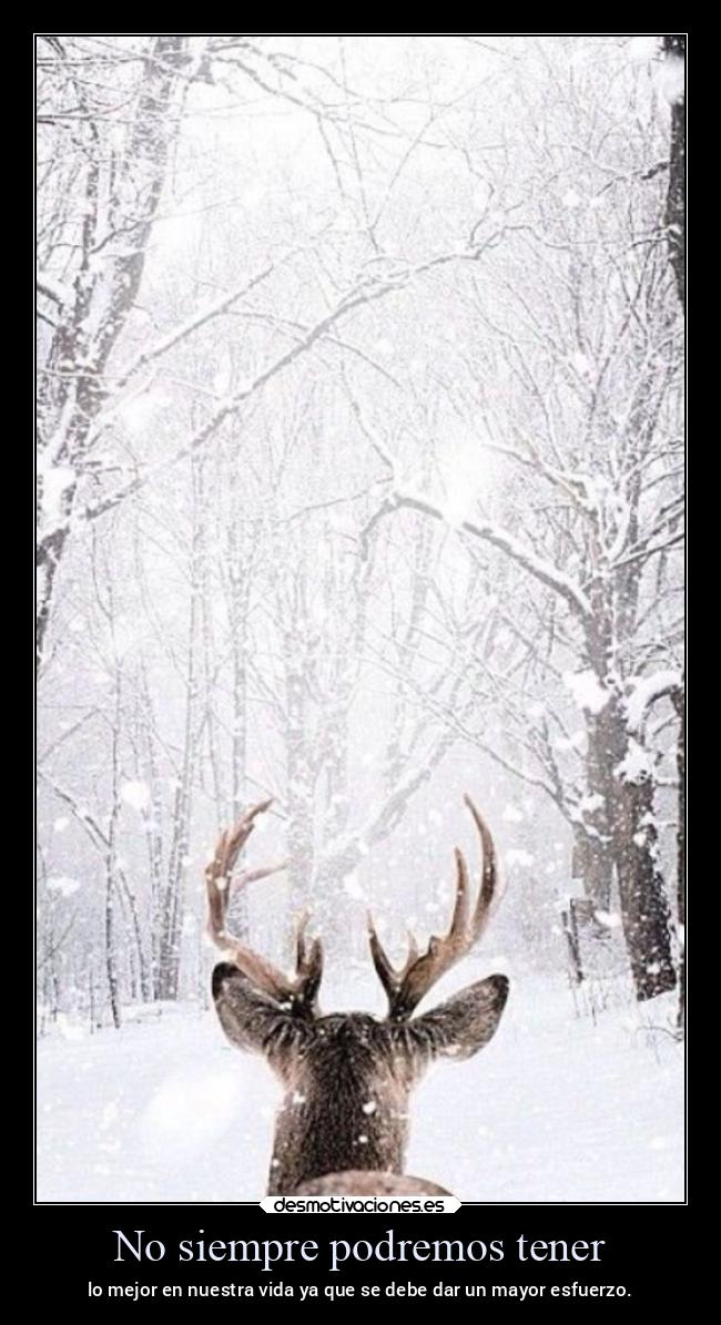 No siempre podremos tener - lo mejor en nuestra vida ya que se debe dar un mayor esfuerzo.