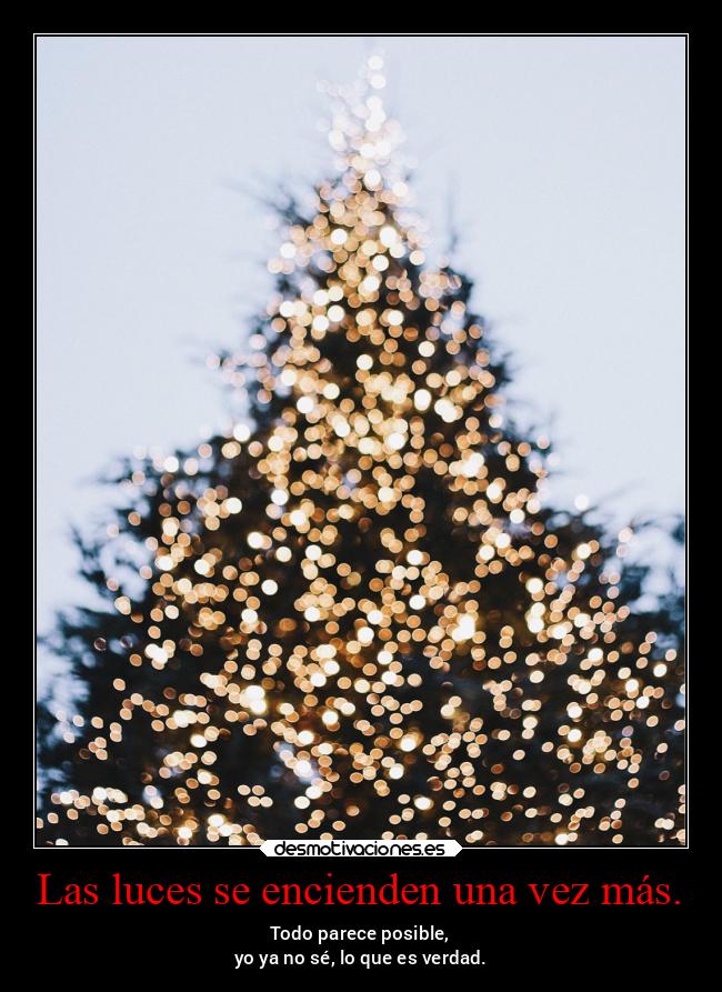 Las luces se encienden una vez más. - Todo parece posible,
yo ya no sé, lo que es verdad.