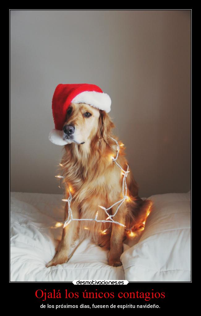Ojalá los únicos contagios - de los próximos días, fuesen de espíritu navideño.