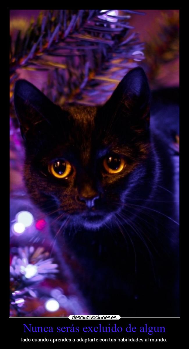 carteles vida ltsc lrssg alex vazquez999 victoryanddeath victory and death desmonavidad2020 desmotivaciones